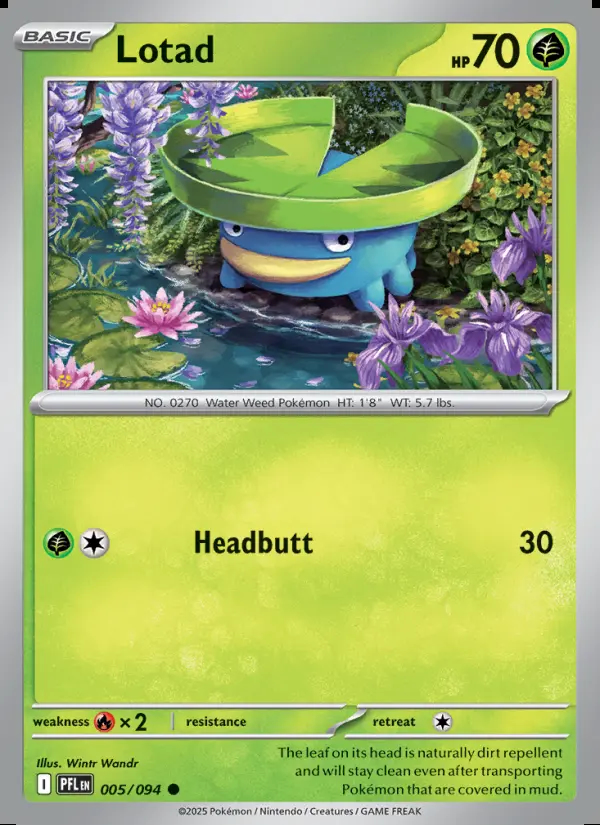 Image of the card Lotad