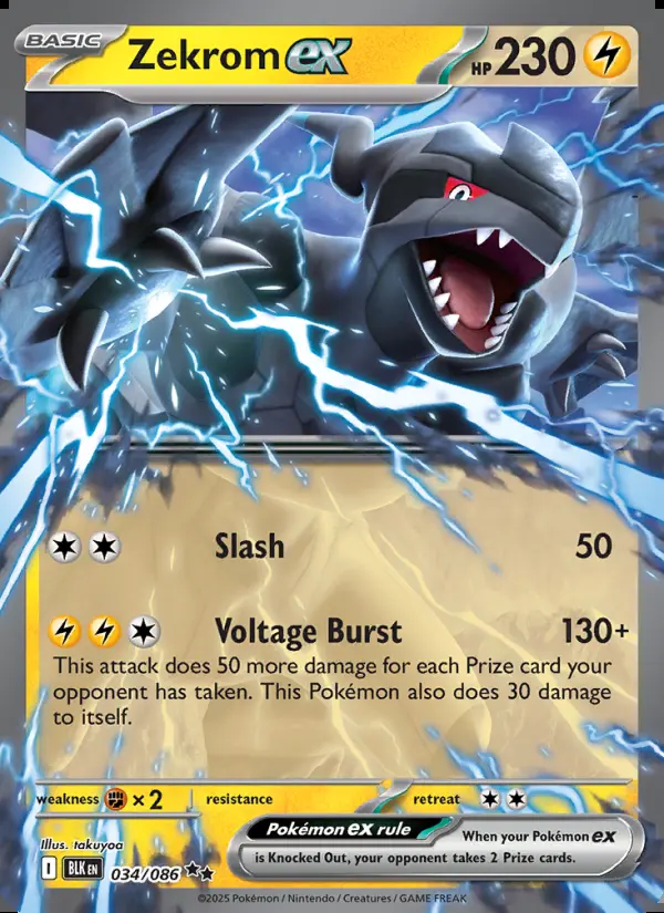 Image of the card Zekrom ex