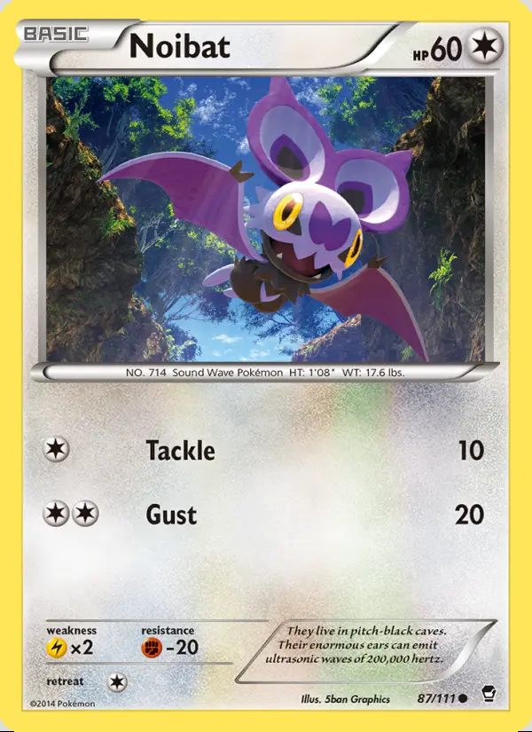 Image of the card Noibat
